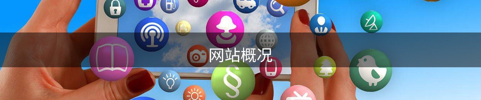 网站概况